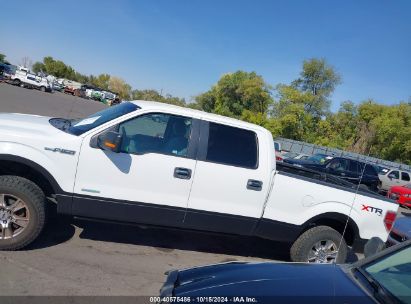 Lot #3045361019 2014 FORD F-150 XLT