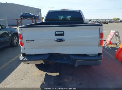 Lot #3045361019 2014 FORD F-150 XLT