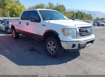 Lot #3045361019 2014 FORD F-150 XLT