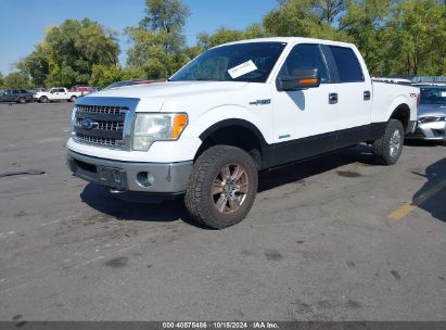 Lot #3045361019 2014 FORD F-150 XLT