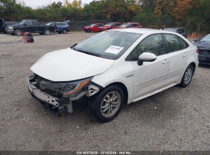 Lot #2995299392 2021 TOYOTA COROLLA HYBRID LE