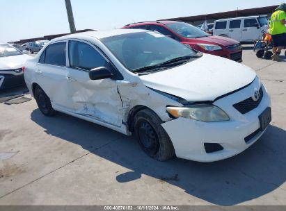 Lot #2995300891 2010 TOYOTA COROLLA