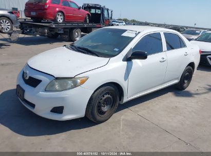 Lot #2995300891 2010 TOYOTA COROLLA