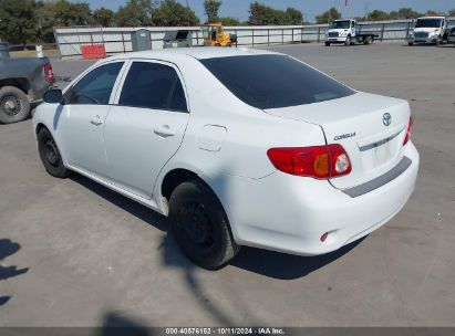 Lot #2995300891 2010 TOYOTA COROLLA