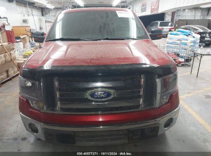 Lot #3037551001 2011 FORD F-150 XLT