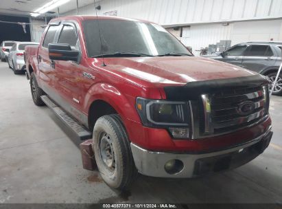 Lot #3037551001 2011 FORD F-150 XLT