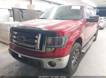 Lot #3037551001 2011 FORD F-150 XLT