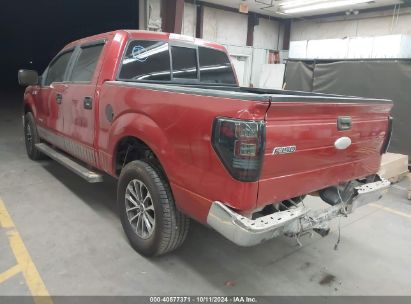 Lot #3037551001 2011 FORD F-150 XLT