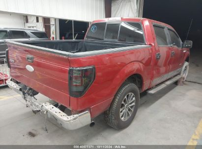 Lot #3037551001 2011 FORD F-150 XLT