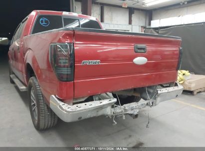 Lot #3037551001 2011 FORD F-150 XLT