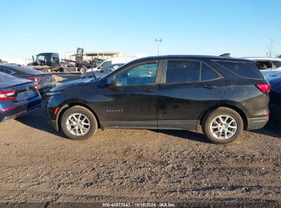 Lot #2995299369 2022 CHEVROLET EQUINOX FWD 1FL