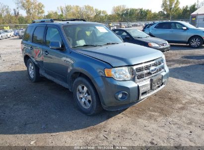 Lot #2992829782 2010 FORD ESCAPE LIMITED