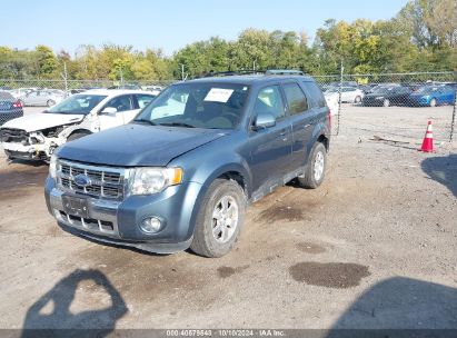 Lot #2992829782 2010 FORD ESCAPE LIMITED