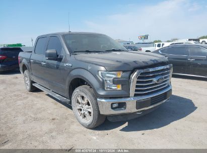 Lot #3049471599 2015 FORD F-150 XLT