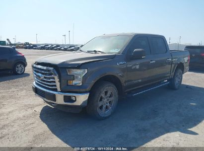 Lot #3049471599 2015 FORD F-150 XLT