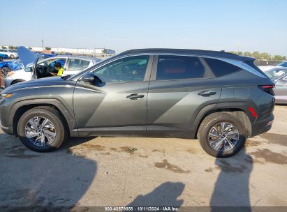 Lot #3053064307 2022 HYUNDAI TUCSON HYBRID BLUE