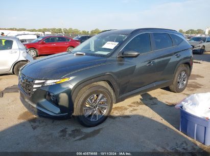 Lot #3053064307 2022 HYUNDAI TUCSON HYBRID BLUE