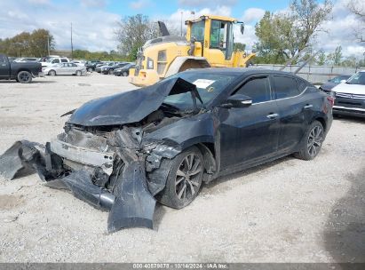 Lot #3035076244 2017 NISSAN MAXIMA 3.5 SV