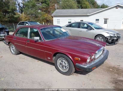 Lot #2992824254 1986 JAGUAR XJ6