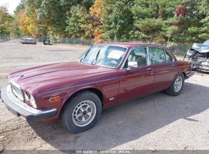 Lot #2992824254 1986 JAGUAR XJ6