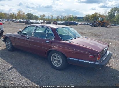 Lot #2992824254 1986 JAGUAR XJ6