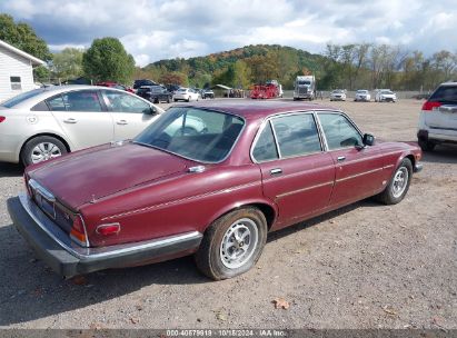 Lot #2992824254 1986 JAGUAR XJ6