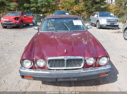 Lot #2992824254 1986 JAGUAR XJ6