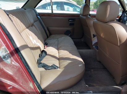 Lot #2992824254 1986 JAGUAR XJ6