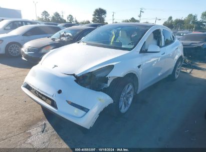 Lot #2992824232 2023 TESLA MODEL Y AWD/LONG RANGE DUAL MOTOR ALL-WHEEL DRIVE