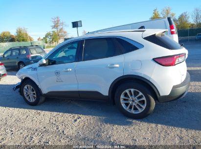 Lot #2992824227 2020 FORD ESCAPE SE