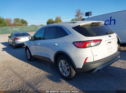 Lot #2992824227 2020 FORD ESCAPE SE