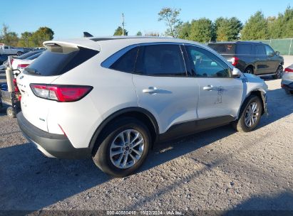 Lot #2992824227 2020 FORD ESCAPE SE