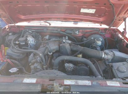 Lot #2990354100 1996 FORD F150