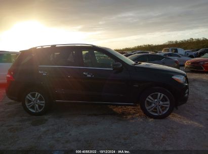 Lot #2992824153 2012 MERCEDES-BENZ ML 350 4MATIC