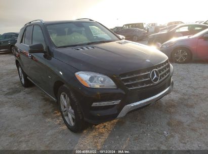 Lot #2992824153 2012 MERCEDES-BENZ ML 350 4MATIC