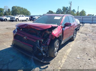 Lot #3021951477 2023 TOYOTA RAV4 XLE