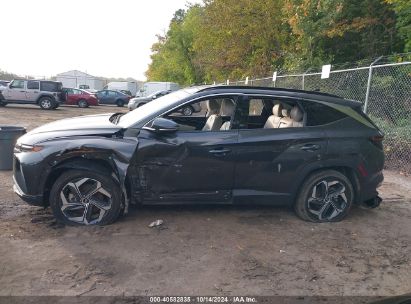 Lot #2995299588 2023 HYUNDAI TUCSON LIMITED