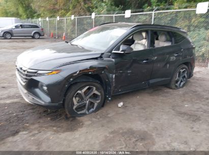 Lot #2995299588 2023 HYUNDAI TUCSON LIMITED