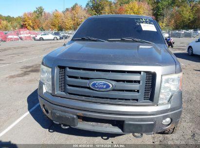 Lot #2996533533 2010 FORD F-150 FX4/HARLEY-DAVIDSON/KING RANCH/LARIAT/PLATINUM/XL/XLT