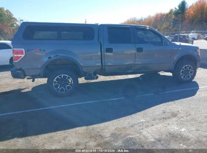 Lot #2996533533 2010 FORD F-150 FX4/HARLEY-DAVIDSON/KING RANCH/LARIAT/PLATINUM/XL/XLT