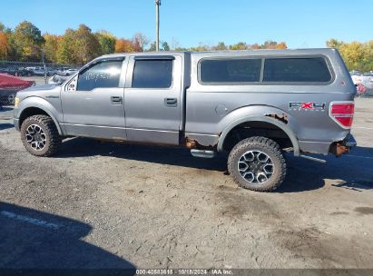 Lot #2996533533 2010 FORD F-150 FX4/HARLEY-DAVIDSON/KING RANCH/LARIAT/PLATINUM/XL/XLT