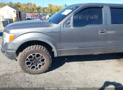 Lot #2996533533 2010 FORD F-150 FX4/HARLEY-DAVIDSON/KING RANCH/LARIAT/PLATINUM/XL/XLT