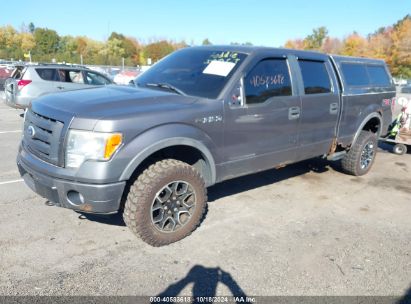 Lot #2996533533 2010 FORD F-150 FX4/HARLEY-DAVIDSON/KING RANCH/LARIAT/PLATINUM/XL/XLT