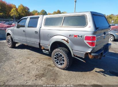 Lot #2996533533 2010 FORD F-150 FX4/HARLEY-DAVIDSON/KING RANCH/LARIAT/PLATINUM/XL/XLT