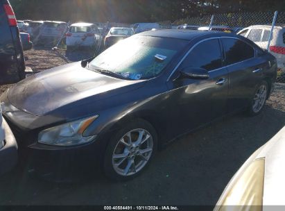 Lot #2995299553 2012 NISSAN MAXIMA 3.5 SV