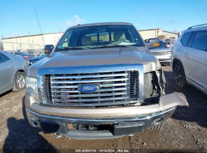 Lot #2996533519 2011 FORD F-150 XLT