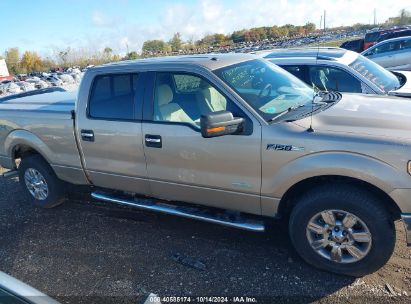 Lot #2996533519 2011 FORD F-150 XLT