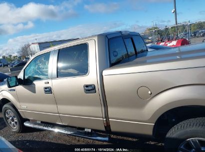 Lot #2996533519 2011 FORD F-150 XLT