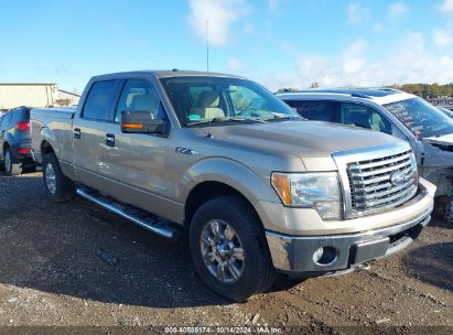 Lot #2996533519 2011 FORD F-150 XLT