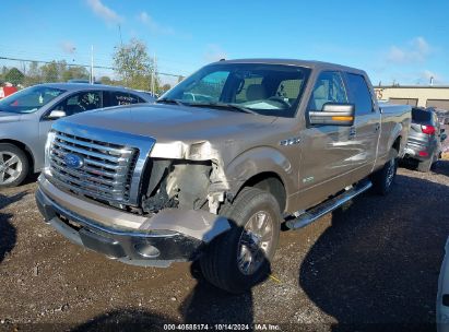 Lot #2996533519 2011 FORD F-150 XLT